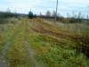 dsc00158_t1.jpg