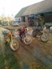 nuotrauka0110_t1.jpg