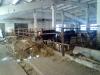20110225083_t1.jpg