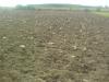 dsc00670_t1.jpg