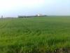 foto0050_t1.jpg