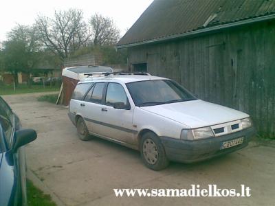 fiat marengo