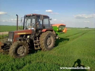 belarus 952 amazone